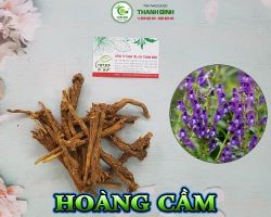 Mua bán hoàng cầm ở quận Bình Tân có công dụng tiêu độc mụn nhọt