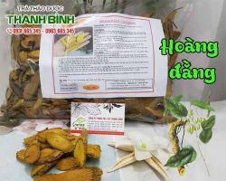 Mua bán hoàng đằng tại huyện Thạch Thất điều trị viêm âm đạo