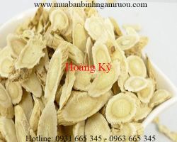 Mua bán hoàng kỳ tại Quảng Trị giúp tăng cường sinh lý hiệu quả nhất