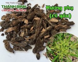 Mua bán hương phụ tại huyện Từ Liêm hỗ trợ điều trị đau bụng kinh