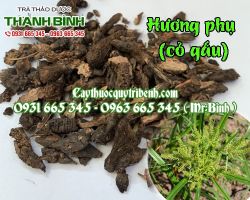 Mua bán hương phụ tại quận Tây Hồ giúp tăng cường tiêu hóa