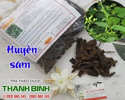 Mua bán huyền sâm tại huyện Thanh Trì chữa hạch ở cổ, ở vú