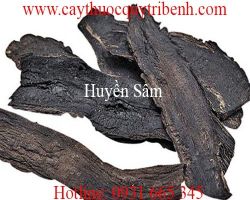 Mua bán huyền sâm tại quận 8 có tác dụng trị viêm kết mạc tốt nhất