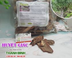 Mua bán huyết giác tại huyện Từ Liêm giúp điều trị chảy máu cam rất tốt