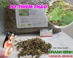 Mua bán hy thiêm thảo tại huyện Sóc Sơn điều trị lở loét ngứa