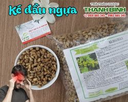 Mua bán ké đầu ngựa tại huyện Gia Lâm chữa chảy nước mũi, viêm mũi