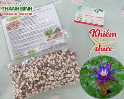 Mua bán khiếm thực tại huyện Sóc Sơn hỗ trợ điều trị chứng hoạt tinh