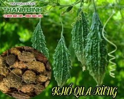 Mua bán khổ qua rừng tại quận 10 có tác dụng giải rượu hiệu quả nhất