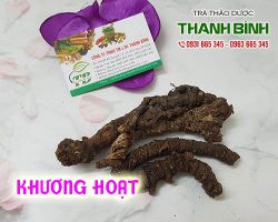 Mua bán khương hoạt tại TPHCM uy tín chất lượng tốt nhất