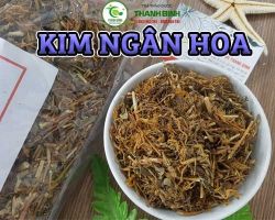 Mua bán kim ngân hoa tại quận 5 hỗ trợ điều trị tình trạng lở ngứa da