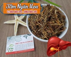 Mua bán kim ngân hoa tại Sơn Tây điều trị tiểu tiện ra máu