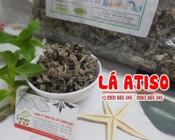 Mua bán lá atiso ở quận Phú Nhuận giúp giải độc gan