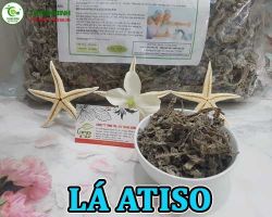 Mua bán lá atiso ở quận Thủ Đức hỗ trợ ngăn ngừa lão hóa hiệu quả