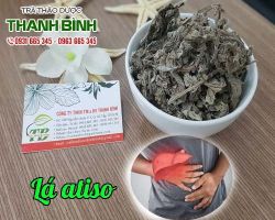 Mua bán lá atiso tại quận Hoàn Kiếm chữa bệnh tiểu đường