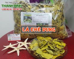 Mua bán lá chè dung tại quận 9 giúp đường tiêu hóa chuyển biến tốt