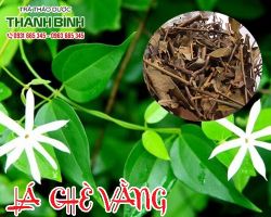 Mua bán lá chè vằng ở quận Bình Thạnh điều trị mất ngủ