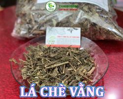 Mua bán lá chè vằng tại Kom Tom giúp mát gan, thanh nhiệt cơ thể hiệu quả