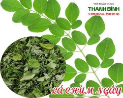 Mua bán lá chùm ngây ở quận Tân Phú hỗ trợ trị suy nhược cơ thể