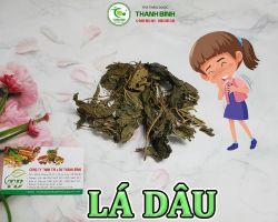 Mua bán lá dâu tại Dak Lak hỗ trợ cải thiện chứng khó ngủ, hay trằn trọc gây lo âu