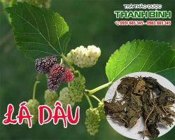 Mua bán lá dâu tại quận Bình Thạnh có tác dụng giúp giải nhiệt cơ thể