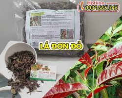 Mua bán lá đơn đỏ tại huyện Phúc Thọ hỗ trợ trị mề đay tại nhà