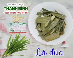 Mua bán lá dứa tại huyện Ba Vì hỗ trợ mờ vết rạn, thâm