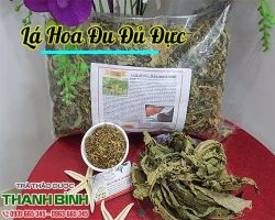 Mua bán lá hoa đu đủ đực tại quận Hà Đông điều trị bệnh gan mật