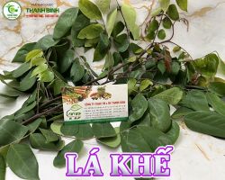 Mua bán lá khế tại Điện Biên hỗ trợ tăng cường sức khỏe, tăng sức đề kháng