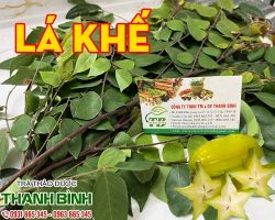 Mua bán lá khế tại quận Ba Đình hỗ trợ điều trị chứng đau họng và sổ mũi