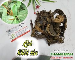 Mua bán lá khôi tía tại quận Hoàng Mai hỗ trợ điều trị viêm phế quản
