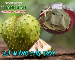 Mua bán lá mãng cầu xiêm ở quận Phú Nhuận ngăn ngừa các bệnh về tim mạch