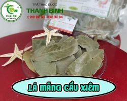 Mua bán lá mãng cầu xiêm tại huyện Thường Tín hỗ trợ điều trị bệnh chàm