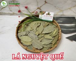 Mua bán lá nguyệt quế tại Hậu Giang có công dụng rất tốt cho người bị hen suyễn