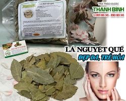 Mua bán lá nguyệt quế tại huyện Thường Tín hỗ trợ làm đẹp da tuyệt vời