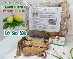 Mua bán lá sa kê ở huyện Bình Chánh giảm chứng viêm ở các khớp hiệu quả