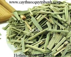 Mua bán lá sả tại Nam Định có tác dụng điều trị chân tay tê lạnh