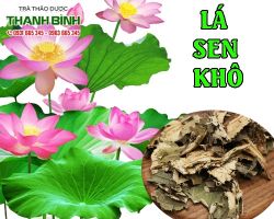 Mua bán lá sen khô ở quận Bình Thạnh có tác dụng giải độc cơ thể