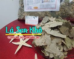 Mua bán lá sen khô tại quận Hoàn Kiếm giúp thanh nhiệt giải độc