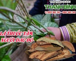 Mua bán lá thuốc tắm người Dao đỏ tại quận 10 giúp ngủ ngon hơn