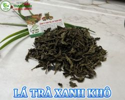 Mua bán lá trà xanh sấy khô tại Kiên Giang giúp hệ xương của bạn khỏe mạnh