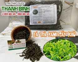 Mua bán lá trà xanh sấy khô tại quận 9 giúp kiểm soát huyết áp