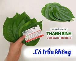 Mua bán lá trầu không tại huyện Chương Mỹ chữa suy nhược thần kinh