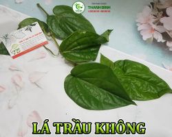 Mua bán lá trầu không tại quận 2 hỗ trợ điều trị viêm da cơ địa rất tốt