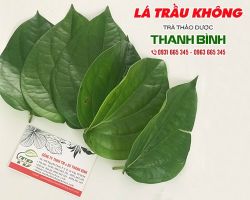 Mua bán lá trầu không tại quận 9 có tác dụng điều trị mụn nhọt rất tốt