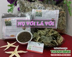 Mua bán lá vối nụ vối tại quận 6 có tác dụng điều trị bệnh về đường ruột