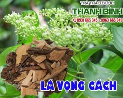 Mua bán lá vọng cách tại quận 3 có tác dụng điều trị tiêu chảy, lỵ
