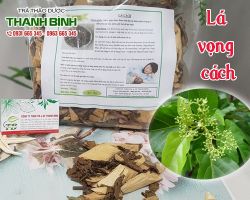 Mua bán lá vọng cách tại quận Hai Bà Trưng có tác dụng lợi sữa