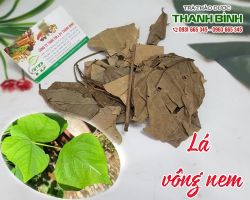 Mua bán lá vông nem tại huyện Thanh Trì có tác dụng ngăn ngừa sâu răng