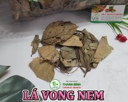 Mua bán lá vông nem tại Kom Tom giúp điều trị đi ngoài ra máu hiệu quả