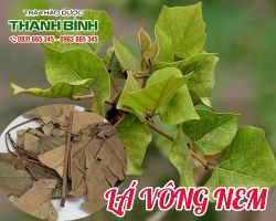Mua bán lá vong nêm tại quận Thủ Đức giúp ngủ ngon an thần hay nhất